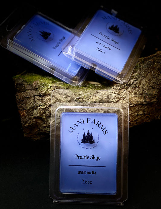 Wax Melts - Prairie Skye